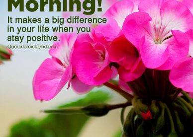 Lovely Good Morning message Images for your loved ones - Good Morning Images, Quotes, Wishes, Messages, greetings & eCard Images