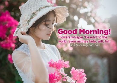 Lovely and Good morning flowers with images - Good Morning Images, Quotes, Wishes, Messages, greetings & eCard Images