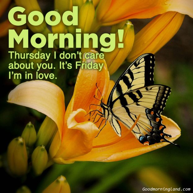 Make someone happy by sending Good morning Friday images - Good Morning Images, Quotes, Wishes, Messages, greetings & eCard Images