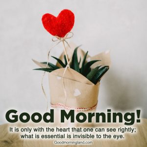 Make your lovers morning happy with hearts images - Good Morning Images ...