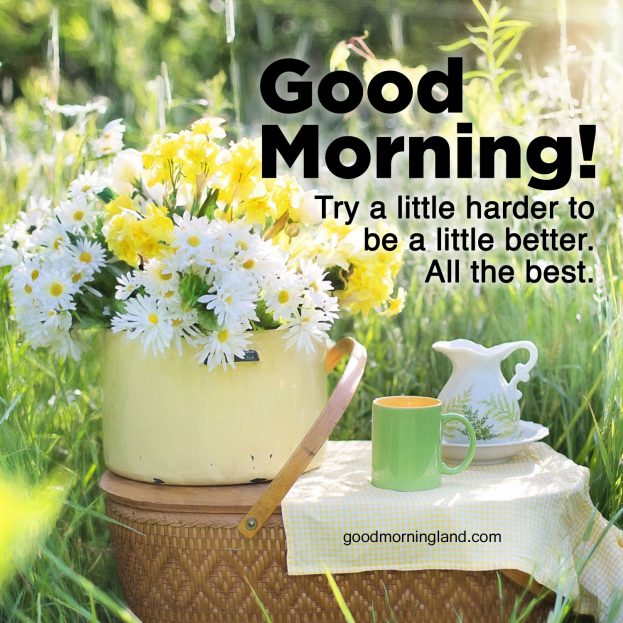 Most Downloaded and Good morning wishes and images - Good Morning Images, Quotes, Wishes, Messages, greetings & eCard Images