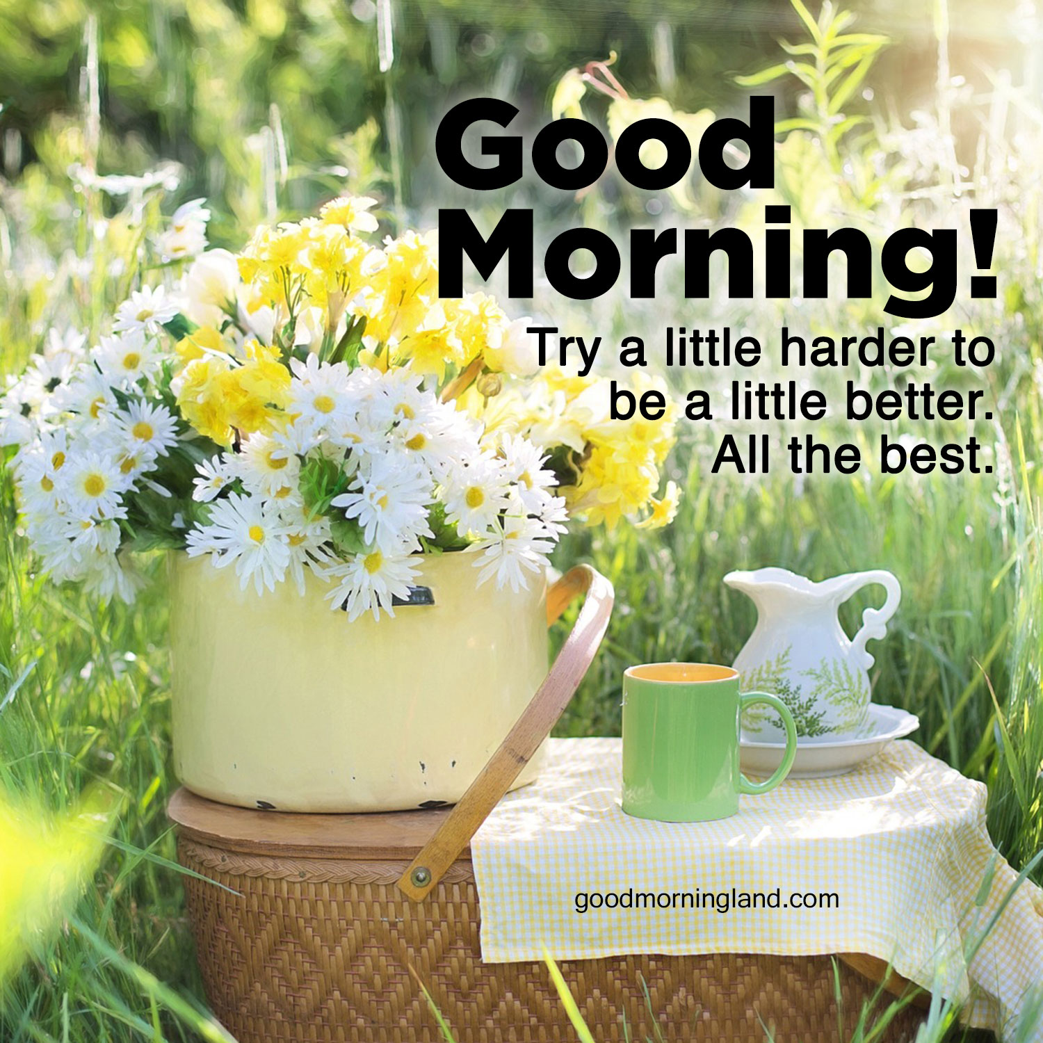 Good Morning Wishes Gif Images Download : Архивы Everyday Greeting ...