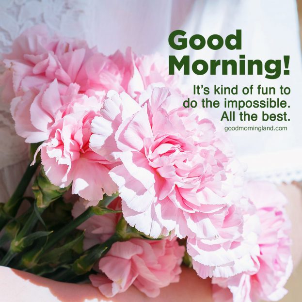 Most innovative Good morning wishes and images - Good Morning Images, Quotes, Wishes, Messages, greetings & eCard Images