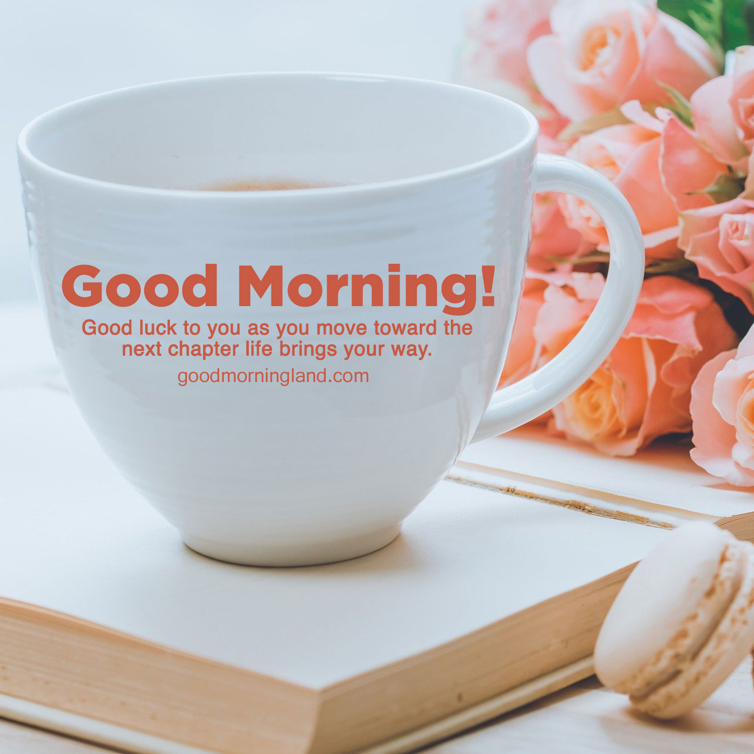 Most searched Good morning wishes and images for cute friends - Good Morning  Images, Quotes, Wishes, Messages, greetings & eCards