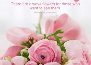 Most shared Good morning flowers with images - Good Morning Images, Quotes, Wishes, Messages, greetings & eCard Images