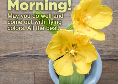 Recent collection of Good morning wishes and images - Good Morning Images, Quotes, Wishes, Messages, greetings & eCard Images
