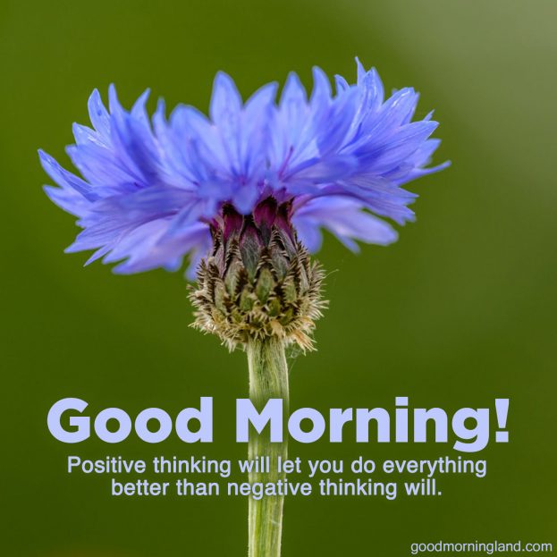 Send Awesome message with awesome Good Morning message Images - Good Morning Images, Quotes, Wishes, Messages, greetings & eCard Images
