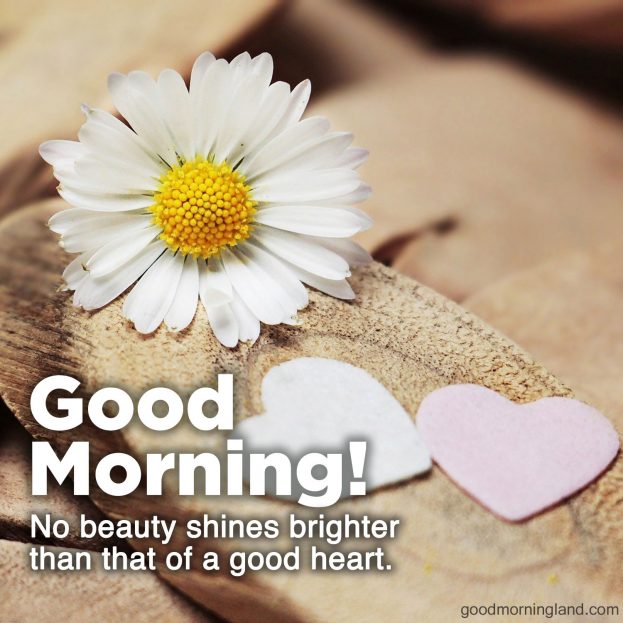 Start your day awesome with Good Morning Hearts Images - Good Morning Images, Quotes, Wishes, Messages, greetings & eCard Images
