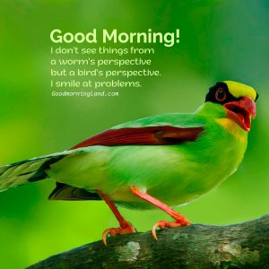 Stunning and free Good Morning Birds Graphics and Images - Good Morning ...