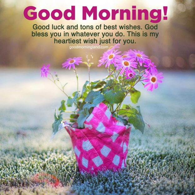 Top Attractive and Good morning wishes and images - Good Morning Images, Quotes, Wishes, Messages, greetings & eCard Images
