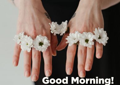 Top Good morning flowers with images - Good Morning Images, Quotes, Wishes, Messages, greetings & eCard Images