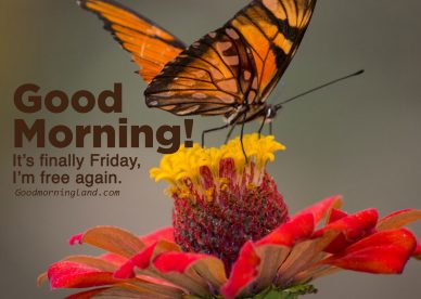 Unique Good morning Friday images with Quotes - Good Morning Images, Quotes, Wishes, Messages, greetings & eCard Images