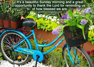 Beautiful and Amazing Good morning Sunday morning images - Good Morning Images, Quotes, Wishes, Messages, greetings & eCard Images.