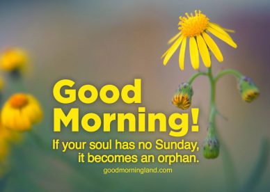 Collection of Good morning Sunday morning images - Good Morning Images, Quotes, Wishes, Messages, greetings & eCard Images.