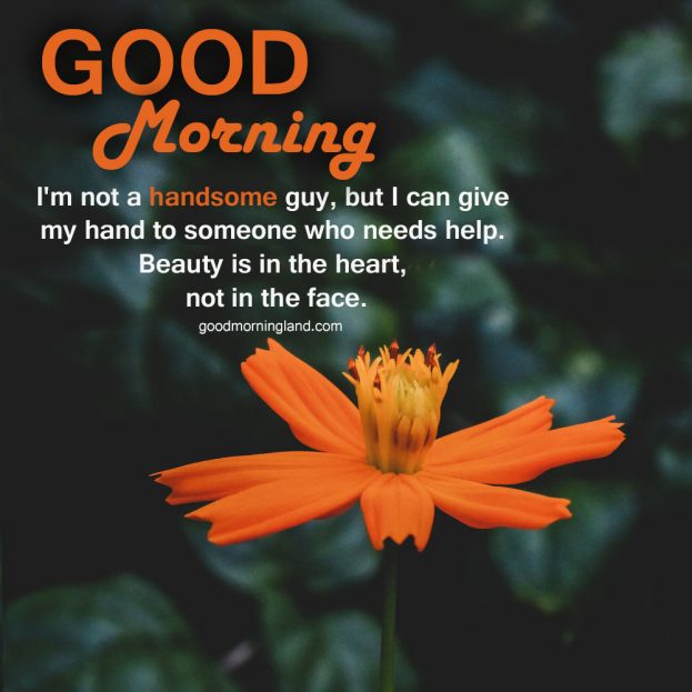 Cute Good morning handsome images 2021 - Good Morning Images, Quotes, Wishes, Messages, greetings & eCard Images.