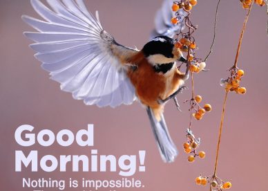 Download image of Good morning blessed quotes for him - Good Morning Images, Quotes, Wishes, Messages, greetings & eCard Images.