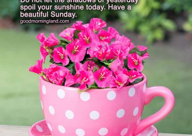 Lovely and Good morning Sunday morning images - Good Morning Images, Quotes, Wishes, Messages, greetings & eCard Images.