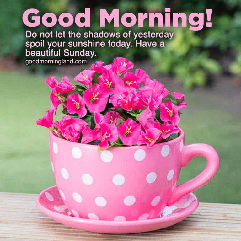 Lovely And Good Morning Sunday Morning Images Good Morning Images Quotes Wishes Messages
