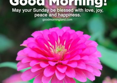 Most Downloaded and Good morning Sunday morning images - Good Morning Images, Quotes, Wishes, Messages, greetings & eCard Images.