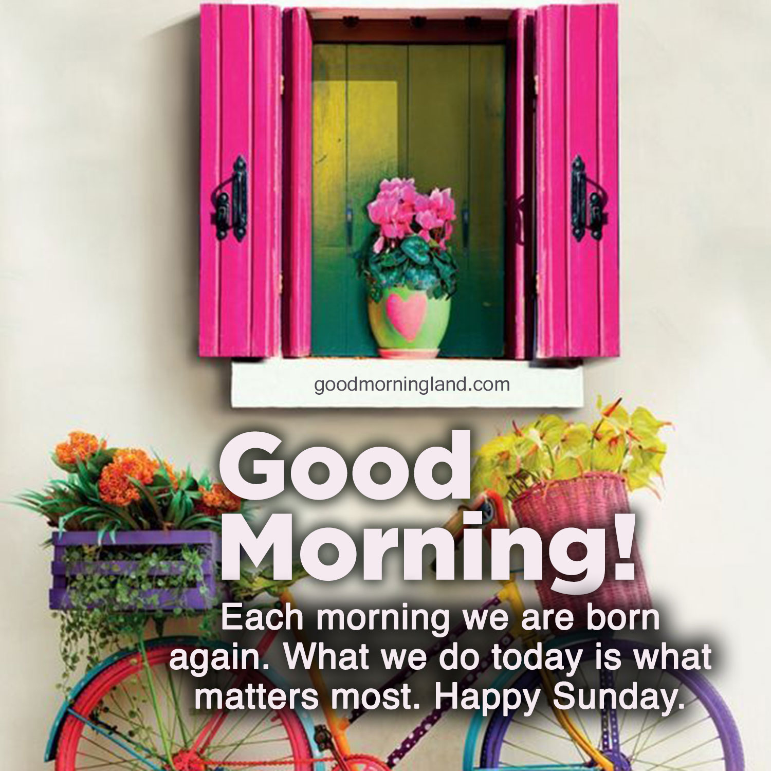 Best Good Morning Happy Sunday Ideas On Pinterest Good