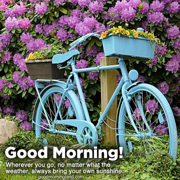 Recent collection of Good morning Sunday morning pics - Good Morning Images, Quotes, Wishes, Messages, greetings & eCard Images.