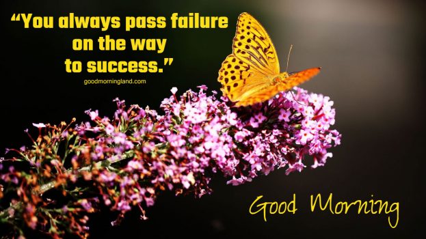 Good Morning Wallpaper HD 2021 - Good Morning Images, Quotes, Wishes, Messages, greetings & eCard Images.