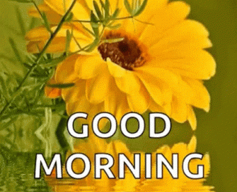 Good Morning Flowers, Water Gif - Good Morning Images, Quotes, Wishes, Messages, greetings & eCard Images