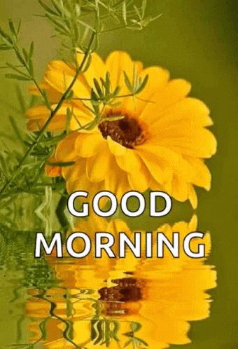 Good Morning Flowers, Water Gif - Good Morning Images, Quotes, Wishes, Messages, greetings & eCard Images