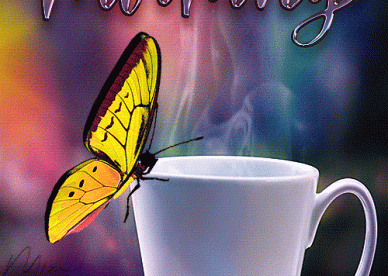 Good Morning Yellow Butterfly GIFs - Good Morning Images, Quotes, Wishes, Messages, greetings & eCard Images