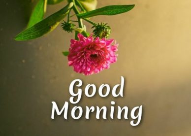 A Beautiful Mindest Good Morning Quotes - Good Morning Images, Quotes, Wishes, Messages, greetings & eCard Images