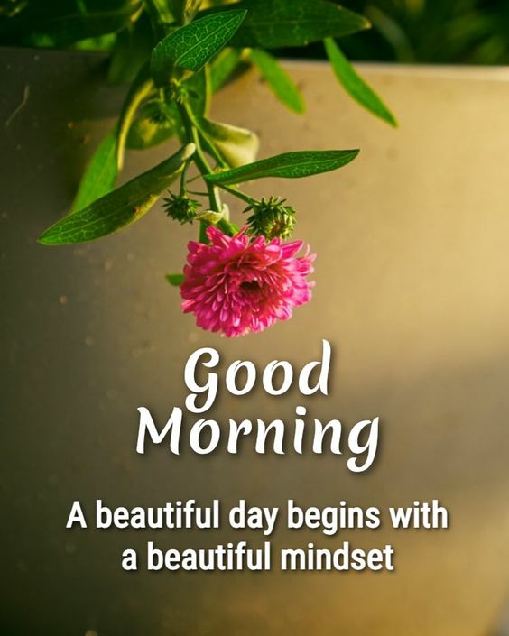 A Beautiful Mindest Good Morning Quotes - Good Morning Images, Quotes, Wishes, Messages, greetings & eCard Images