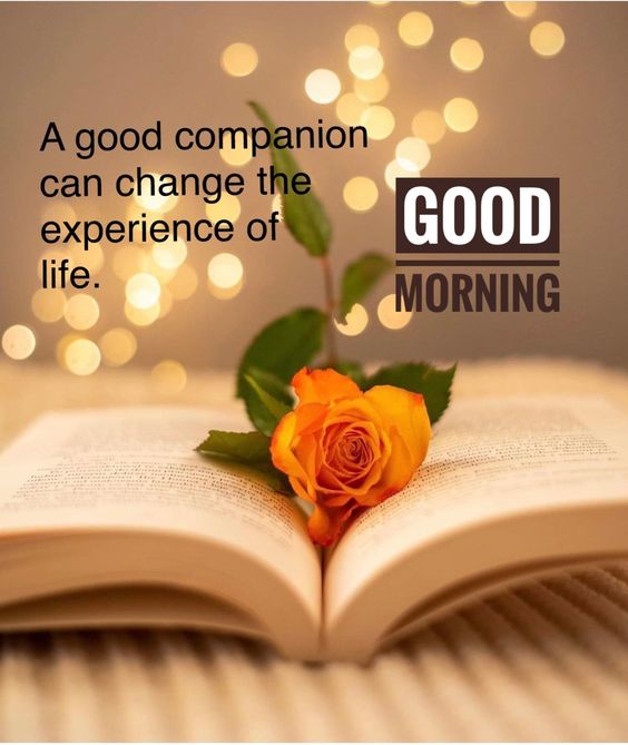 Free Good Morning About A Good Companion Quotes - Good Morning Images, Quotes, Wishes, Messages, greetings & eCard Images