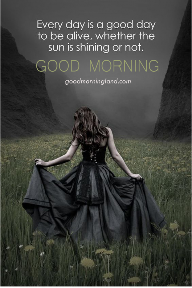 Good Morning Everyday Is Good Day Ideas In 2023 - Good Morning Images, Quotes, Wishes, Messages, greetings & eCard Images