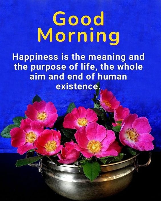 Good Morning Happiness Is The Purpose Of Life Images For TikTok - Good Morning Images, Quotes, Wishes, Messages, greetings & eCard Images