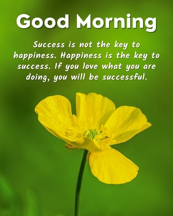 Good Morning Images Success Is Not The key To Happiness - Good Morning Images, Quotes, Wishes, Messages, greetings & eCard Images
