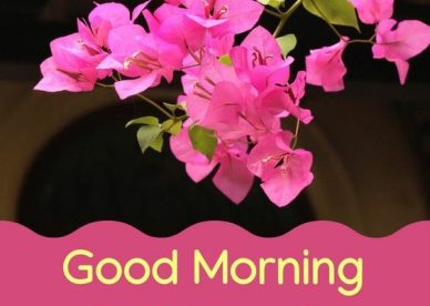 Good Morning Secret Of A Successful Life Quotes Free Download - Good Morning Images, Quotes, Wishes, Messages, greetings & eCard Images