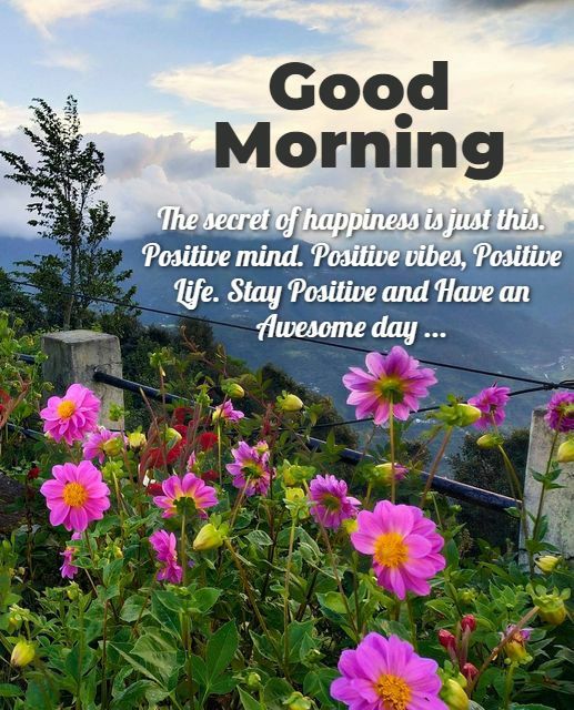 Good Morning Stay A Positive And Have Awesome Day Quotes - Good Morning ...