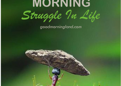 Good Morning Struggle In Life Quotes - Good Morning Images, Quotes, Wishes, Messages, greetings & eCard Images