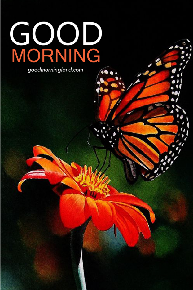 Good Morning The Love Of Watercolor Pics - Good Morning Images, Quotes, Wishes, Messages, greetings & eCard Images