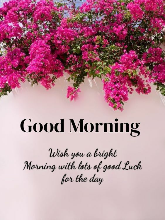 A Bright Morning Quotes & Images - Good Morning Images, Quotes, Wishes, Messages, greetings & eCard Images