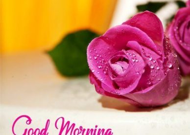 Advance Good Morning Images With Quotes - Good Morning Images, Quotes, Wishes, Messages, greetings & eCard Images