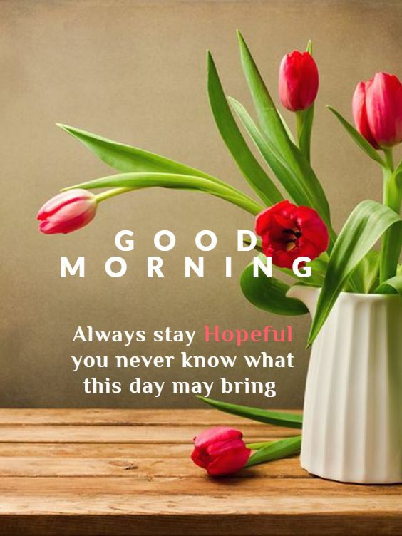 Always stay Hopeful Quotes For Morning Images - Good Morning Images, Quotes, Wishes, Messages, greetings & eCard Images