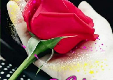 Good Morning Hand Love Rose Love Images