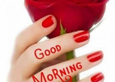 Good Morning Hand, Red Love Rose Wallpaper HD - Good Morning Images, Quotes, Wishes, Messages, greetings & eCard Images