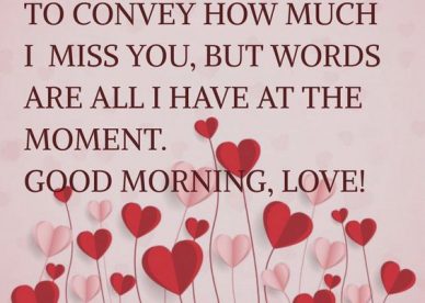 Good Morning How Much I Love You Quotes - Good Morning Images, Quotes, Wishes, Messages, greetings & eCard Images