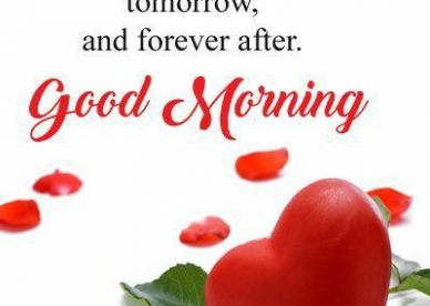 Good Morning I Love You Forever After Pinterest Ideas - Good Morning Images, Quotes, Wishes, Messages, greetings & eCard Images