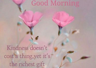 Good Morning Kindness Love Flowers Images