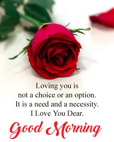 Good Morning Love Is Need And Necessity Quotes - Good Morning Images, Quotes, Wishes, Messages, greetings & eCard Images