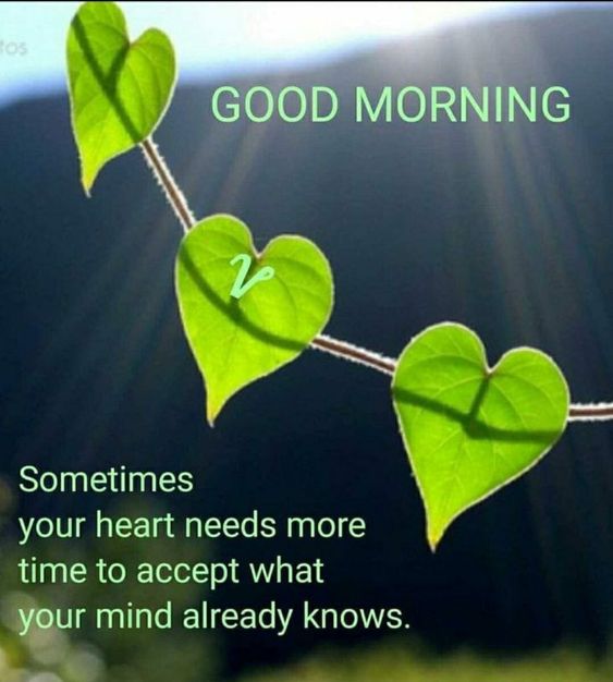Good Morning Love Quotes For App On Google Play