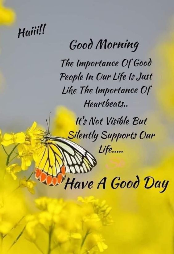 Good Morning Love butterfly Quotes Pictures - Good Morning Images, Quotes, Wishes, Messages, greetings & eCard Images